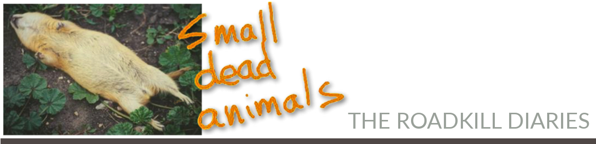 Small Dead Animals – The Roadkill Diaries